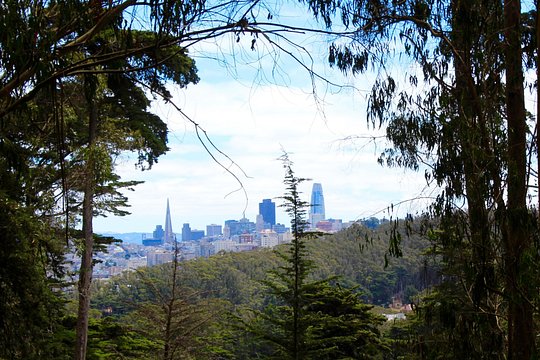 Tour image 5